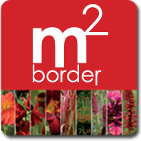 m2border rood