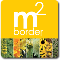 m2border geel