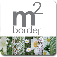 m2border wit