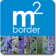 m2border blauw