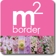 m2border roze